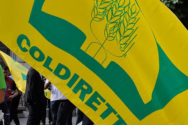 Coldiretti Novara-Vco: domani una delegazione locale per la manifestazione a Bruxelles