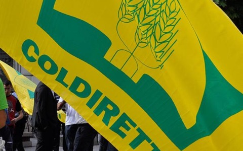 Coldiretti Novara-Vco: “Il rilancio dell’agricoltura passa dal necessario incremento delle risorse”