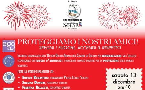 Come proteggere gli animali dai fuochi d’artificio