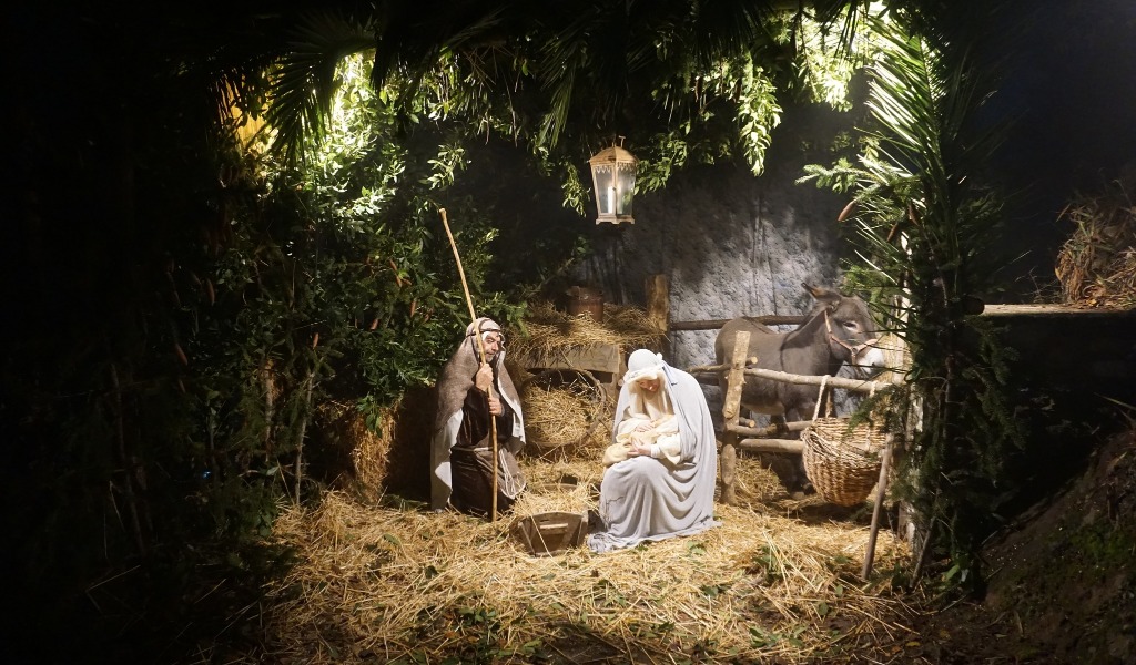 Cosa fare a Pavia e provincia nel weekend: eventi di sabato 27 e domenica 22 dicembre 2025