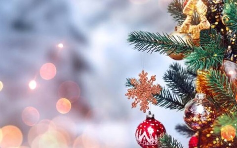 Cosa fare a Rovigo e provincia nel weekend: gli eventi di sabato 6 e domenica 7 dicembre 2025