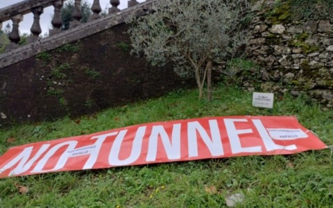 Due anni con l’ulivo del No Tunnel: il simbolo della valle che resiste