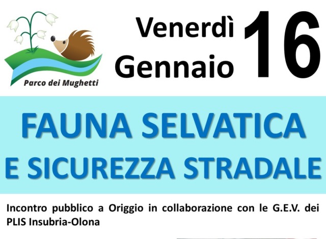 Fauna selvatica e sicurezza stradale
