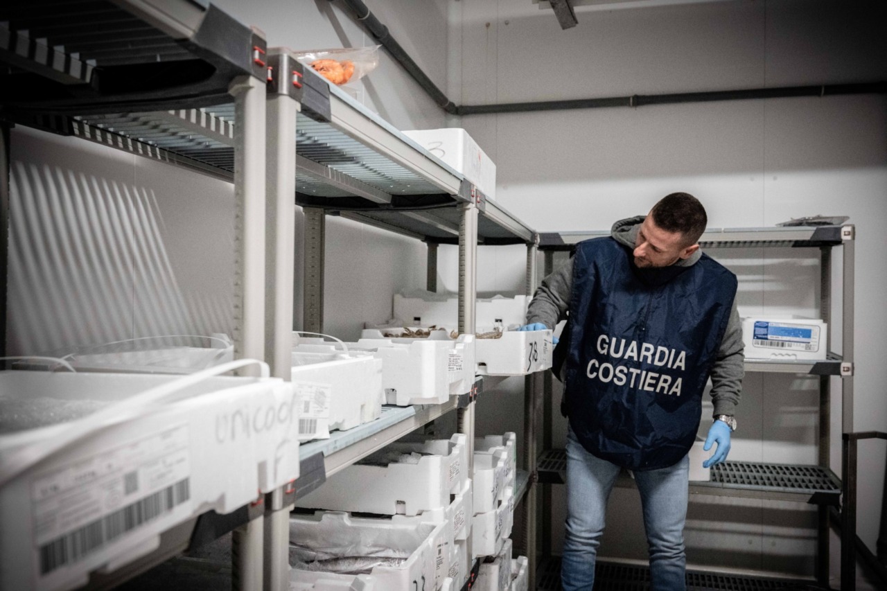 Frode sulle acciughe a Imperia: etichette false scoperte nei controlli della Guardia costiera