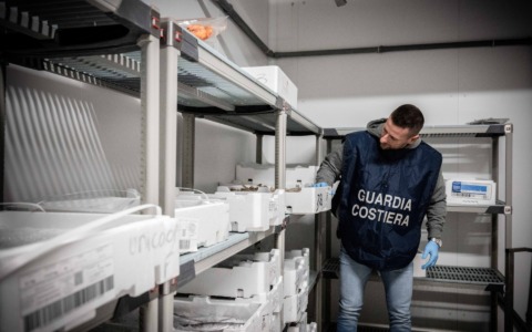 Frode sulle acciughe a Imperia: etichette false scoperte nei controlli della Guardia costiera