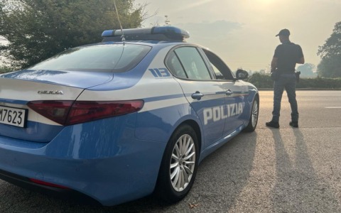 Furti e ricettazione di mezzi da lavoro, smantellata una banda a Vicenza: recuperati 14 escavatori rubati