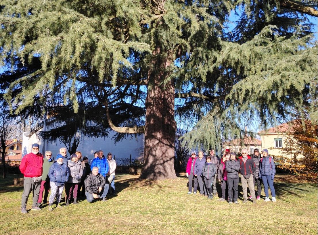 In tour tra gli alberi monumentali