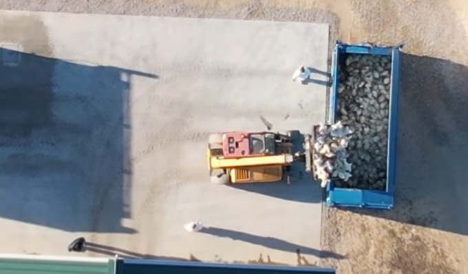 Influenza aviaria: ordinato l’abbattimento degli animali