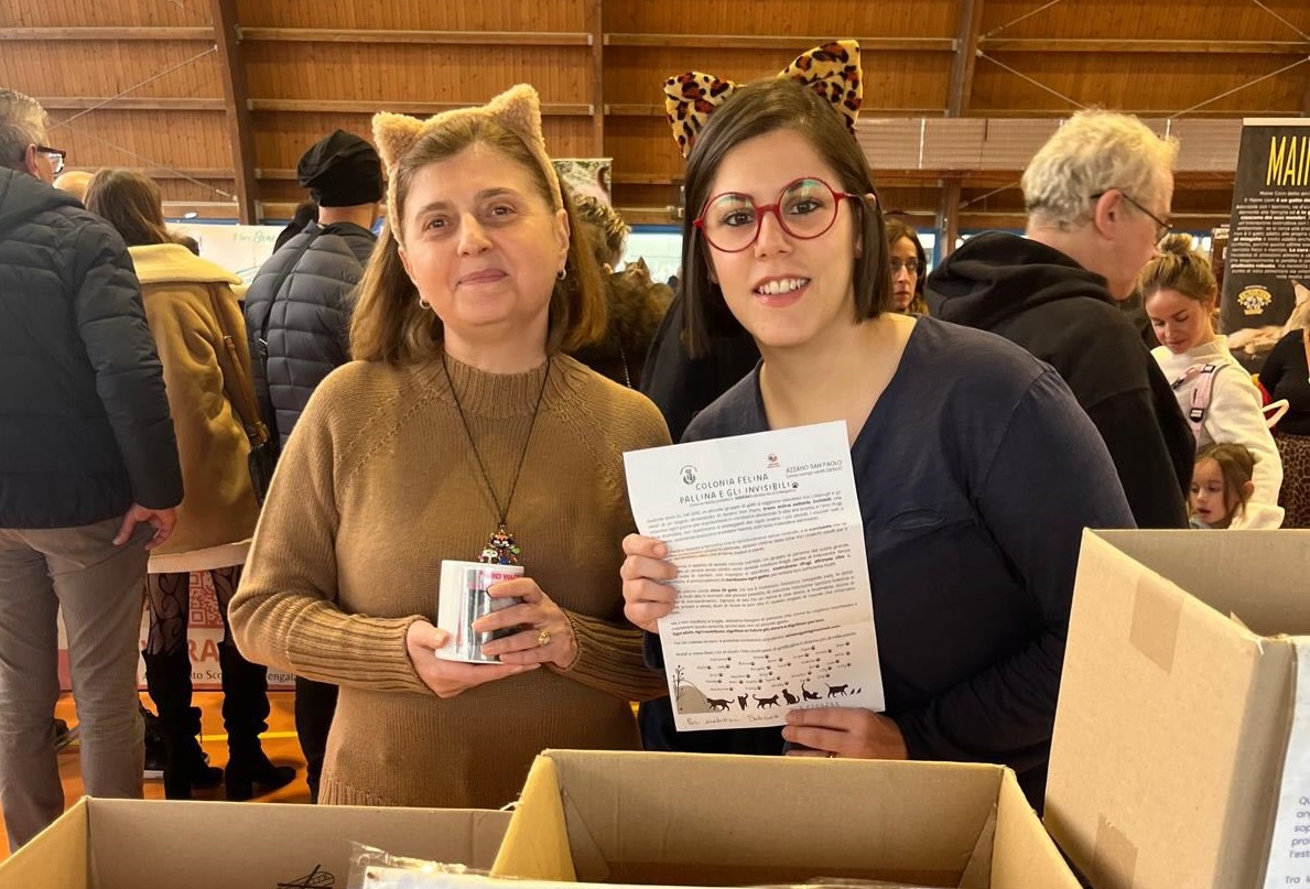 La colonia di gatti “Pallina e gli invisibili” ad Azzano San Paolo chiede aiuto: le donazioni non bastano