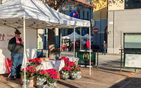 La raccolta fondi dell’Ail isolata… perché è lontana dal mercatino?