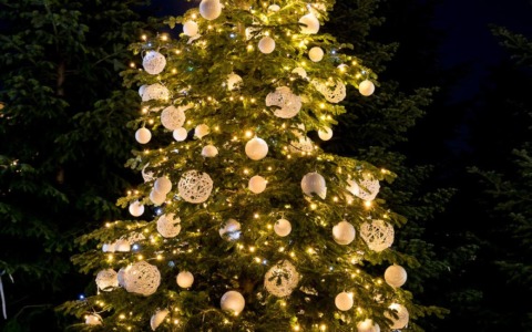 L’atmosfera del Natale si accende con la Pro loco