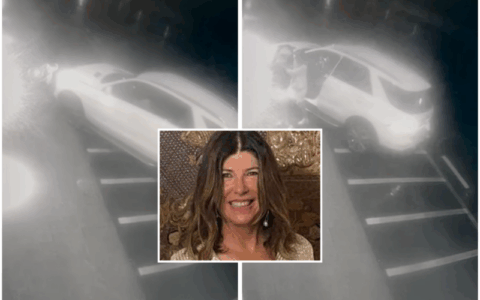 Le rubò la borsa, lei lo investì: Cinzia Dal Pino in aula: “Non volevo ucciderlo”