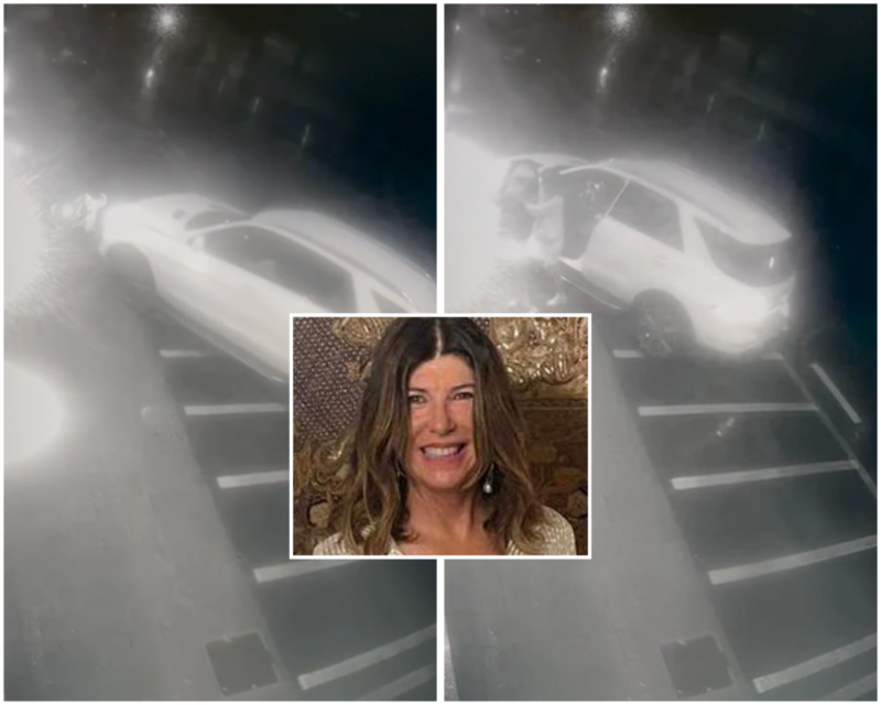 Le rubò la borsa, lei lo investì: Cinzia Dal Pino in aula: “Non volevo ucciderlo”