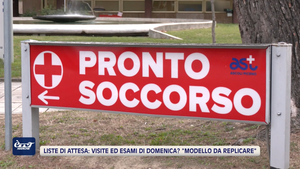 Liste di attesa: visite ed esami di domenica? Calcinaro: “modello da replicare” – VIDEO