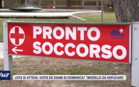 Liste di attesa: visite ed esami di domenica? Calcinaro: “modello da replicare” – VIDEO