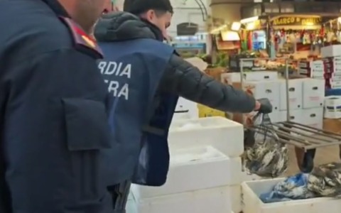Mercato Esquilino: lavoro nero, sequestrata una tonnellata e mezzo di cibo e 50.000 euro di multe
