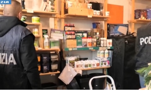 Operazione della Polizia di Stato: a Como trovati 8 chili di marijuana light