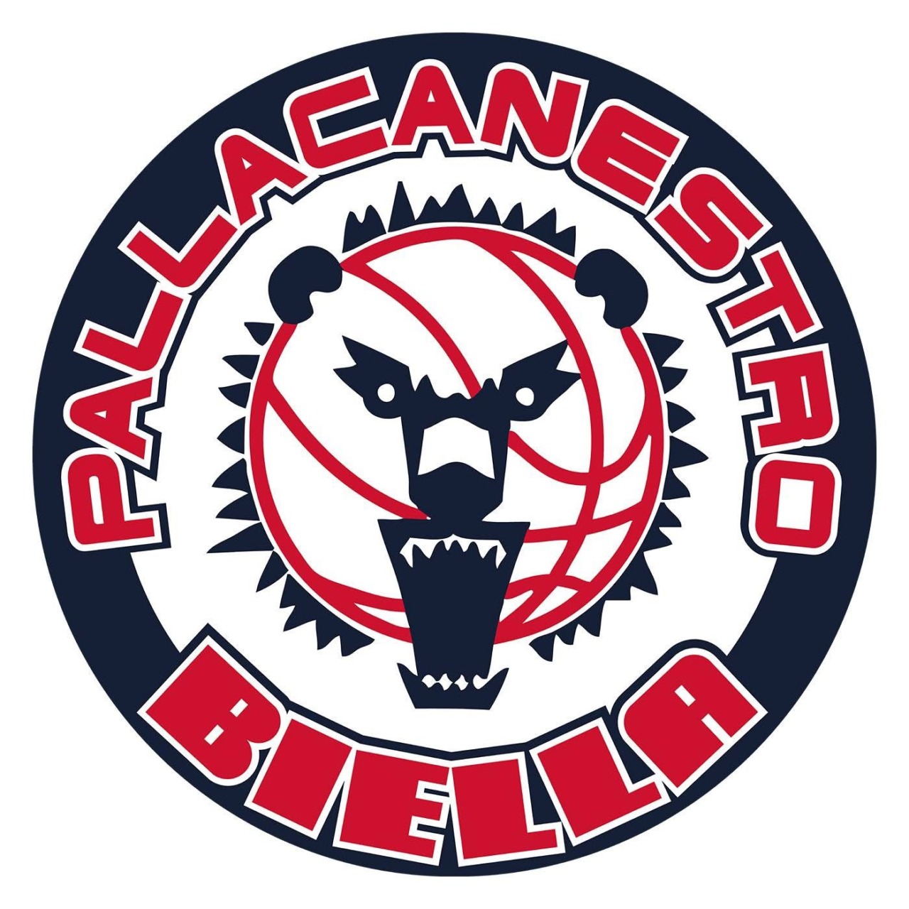 Pallacanestro Biella, omologati gli accordi di ristrutturazione dei debiti: “Si guarda al futuro”