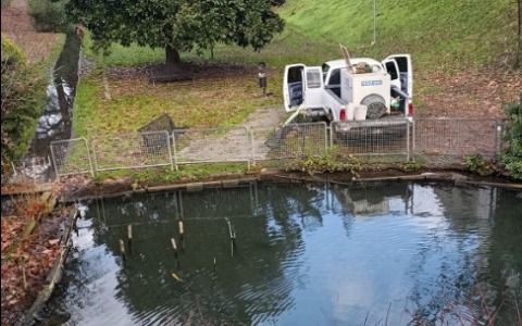 Parco della Costituzione: in atto trasferimento delle tartarughe