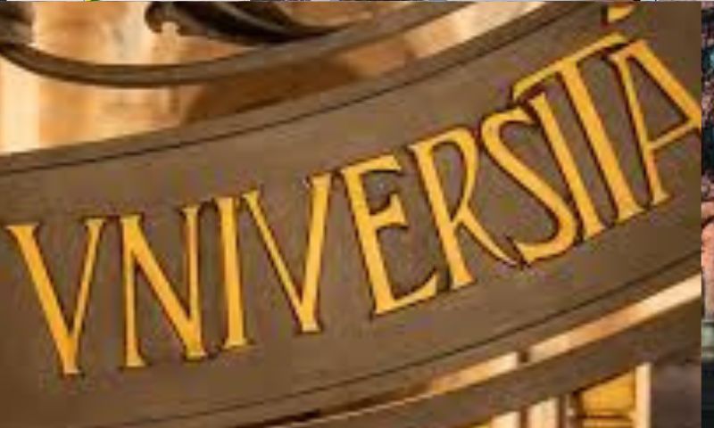 Piace la Laurea Magistrale in Scienze Infermieristiche e Ostetriche