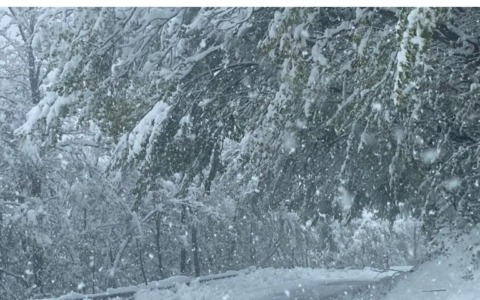 Previsione Lapam Confartigianato: in crescita le presenze per il turismo invernale