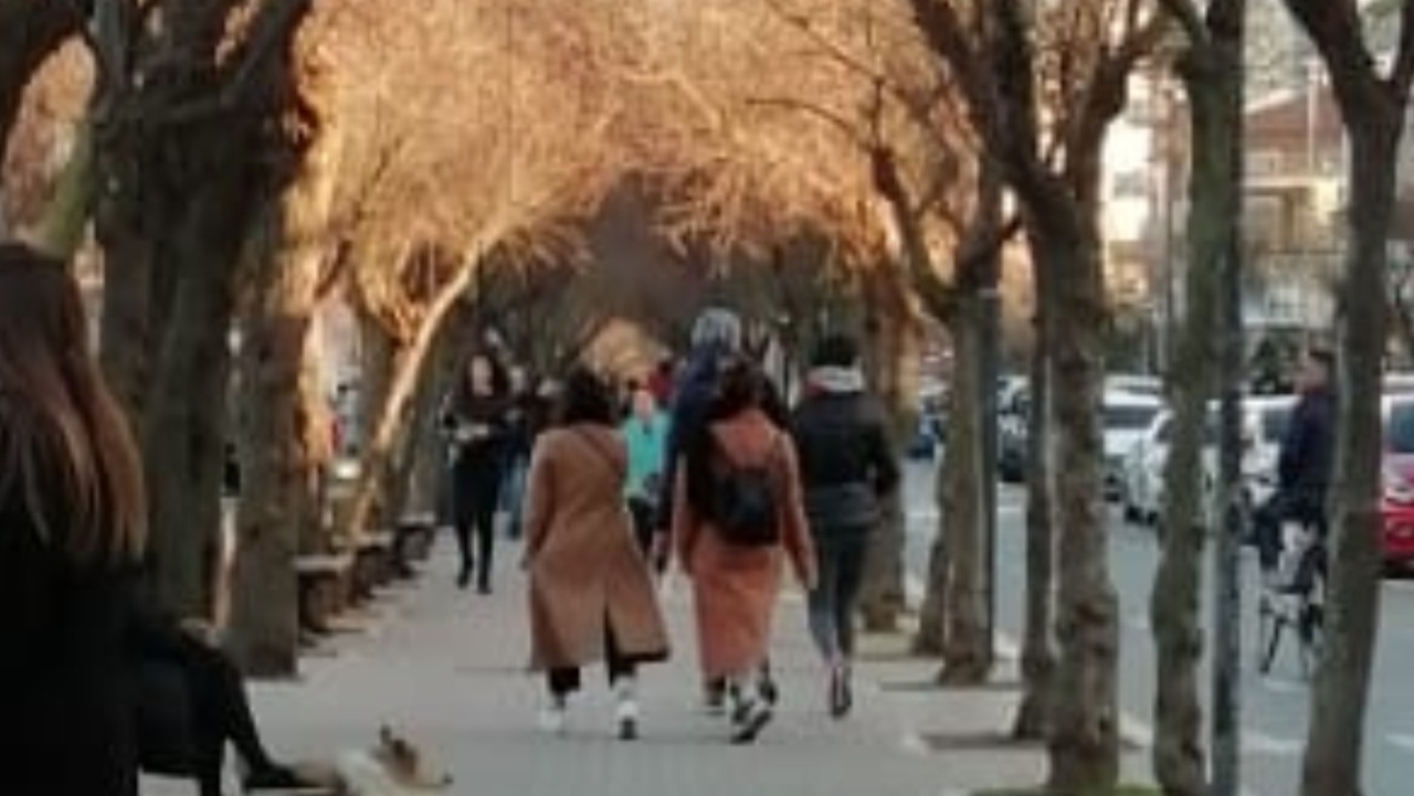 Rapporto BES 2024: “Nelle Marche si vive di più, ma peggio”