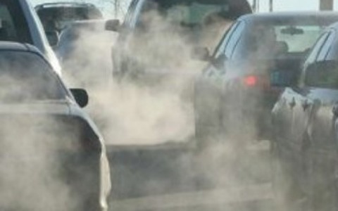 Seconda domenica ecologica ed ingresso gratuito nei musei della capitale