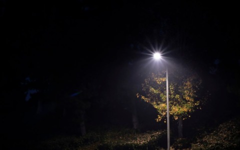 Segnalazione: assenza di illuminazione pubblica in via Palmiro Togliatti