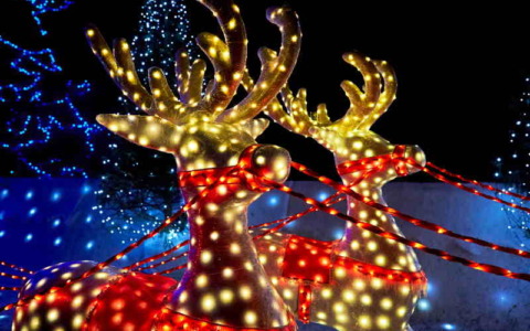 Si riaccendono le lucine di Natale di Leggiuno