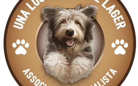 «Siamo al collasso»: i cani del rifugio senza scatolette