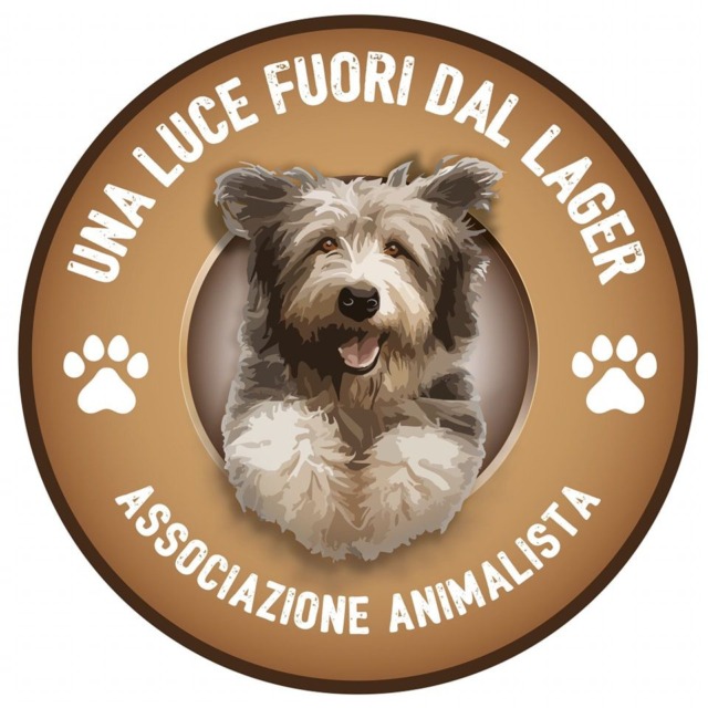«Siamo al collasso»: i cani del rifugio senza scatolette
