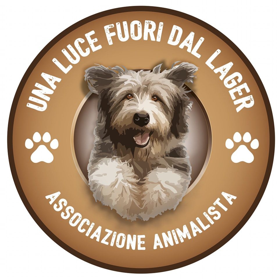 «Siamo al collasso»: i cani del rifugio senza scatolette