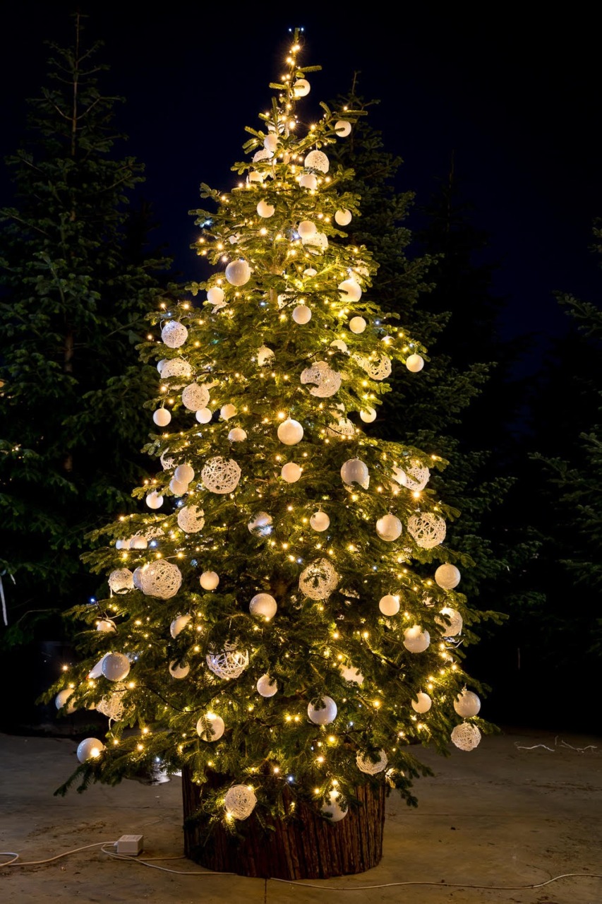 Sono giorni di festa per la patronale di Sant’Ambrogio a Bolladello