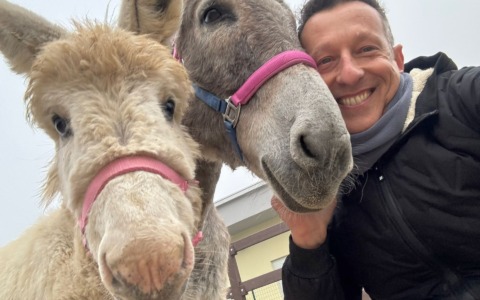 Sorpresa: alla Casa del Sole in aiuto degli utenti arrivano due asinelli