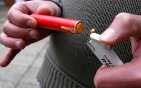 Stop ai botti: “Il Piemonte tuteli animali e persone fragili”