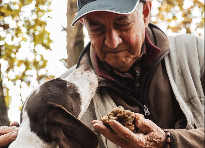 “Vi svelo i segreti del tartufo”: l’intervista al trifolaio cuneese Ezio Costa