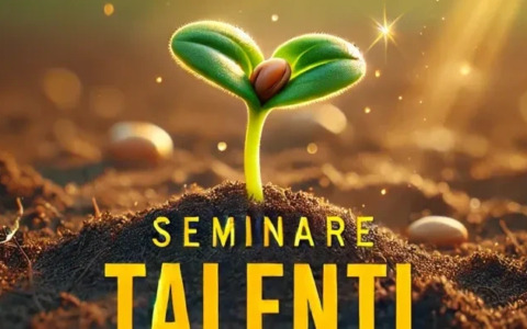 A Vercelli parte “Seminare talenti”, il progetto per creare idee imprenditoriali tra i giovani