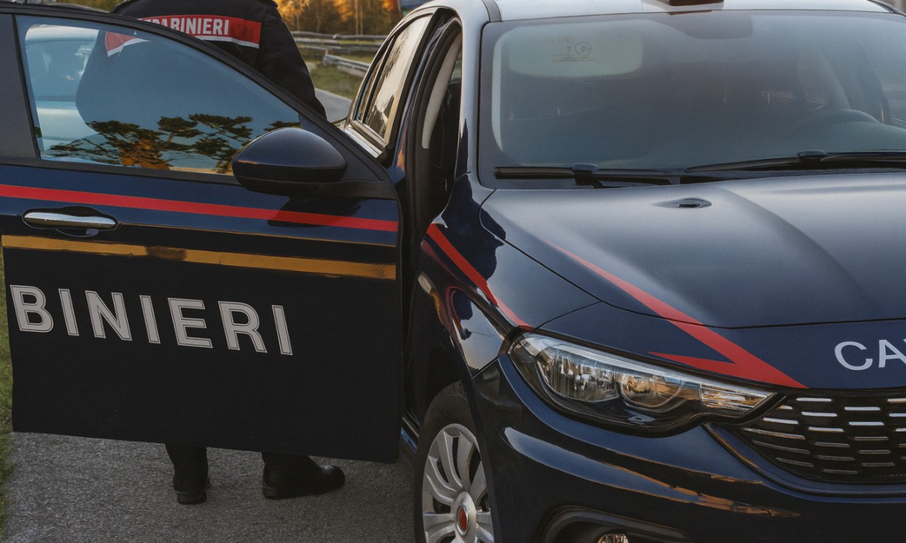 Aggredisce i polizioitti in un parco di Cremona e deruba un minore, 24enne arrestato