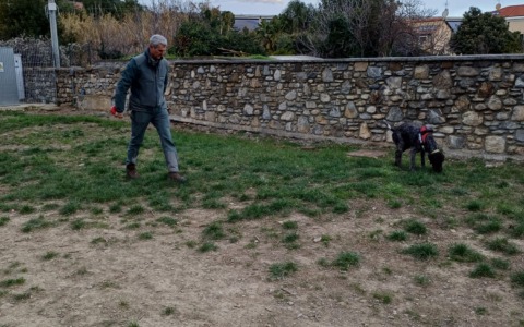 Allarme bocconi avvelenati a Imperia