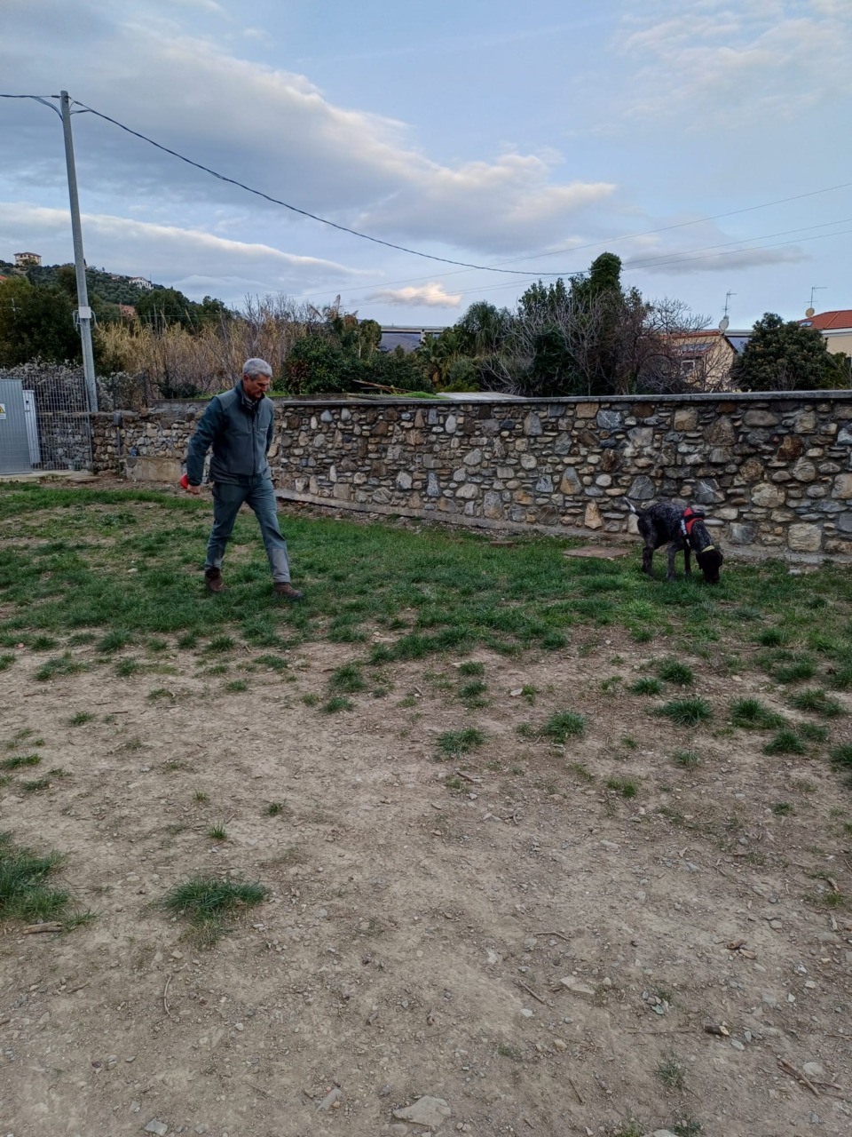 Allarme bocconi avvelenati a Imperia