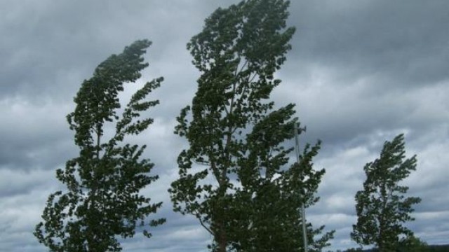 Arpal: venti di burrasca su A e B in attenuazione domani, mercoledì 21 gennaio