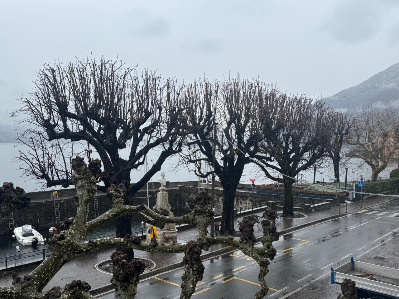 Bellano: abbattimento di 18 alberi per la sicurezza, tra questi anche tre sul molo