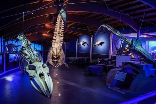 Caccia al tesoro della Befana al museo del Mediterraneo