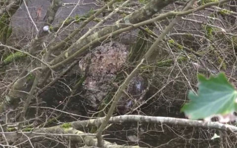 Cade masso sulla superstrada, il prefetto chiude la Cassino-Formia