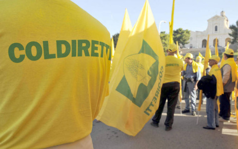 Coldiretti Novara-Vco su Pac: “Risultato impensabile del Governo 10 miliardi in più agli agricoltori italiani”