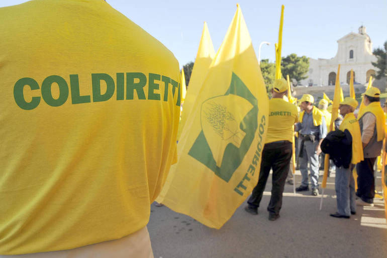 Coldiretti Novara-Vco su Ue: più controlli e stop alle importazioni sleali da ovunque arrivino