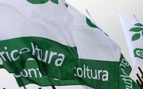 Confagricoltura Piemonte: Costo dei fertilizzanti alle stelle, UE verso stop a dazi e deroga al CBAM