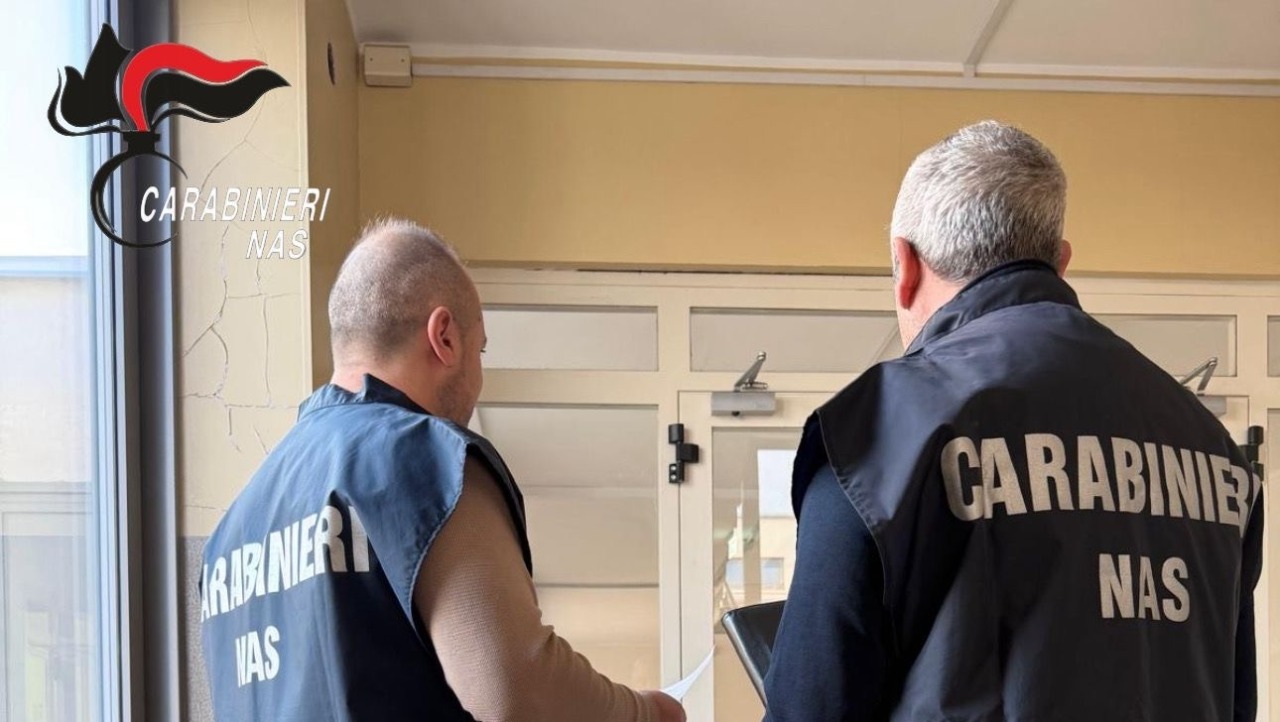 Controlli Nas nel Vercellese: oltre 21 mila euro di sanzioni e 16 persone segnalate alle autorità