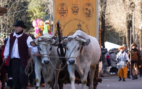 Cosa fare a Varese e provincia nel weekend: gli eventi di sabato 10 e domenica 11 gennaio 2026