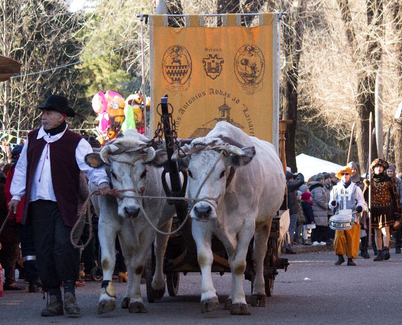 Cosa fare a Varese e provincia nel weekend: gli eventi di sabato 10 e domenica 11 gennaio 2026